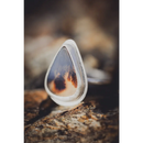 Anillo Plata de ley 925 con Agata Dendritica - Anillo